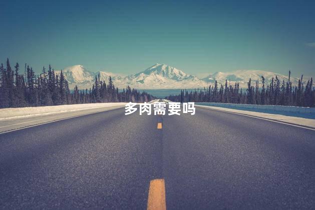 多肉需要吗