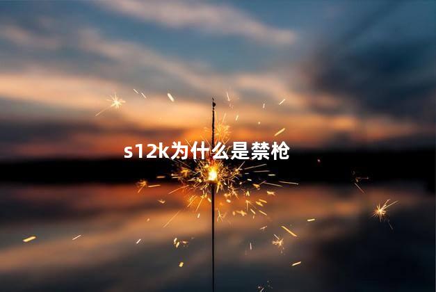 s12k为什么是禁枪