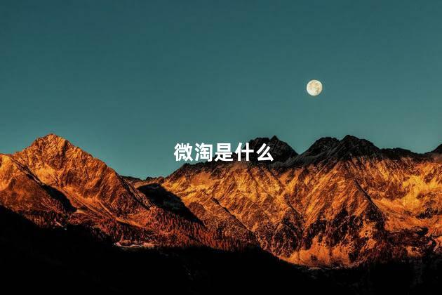 微淘是什么