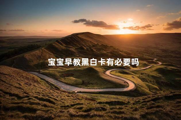 宝宝早教黑白卡有必要吗