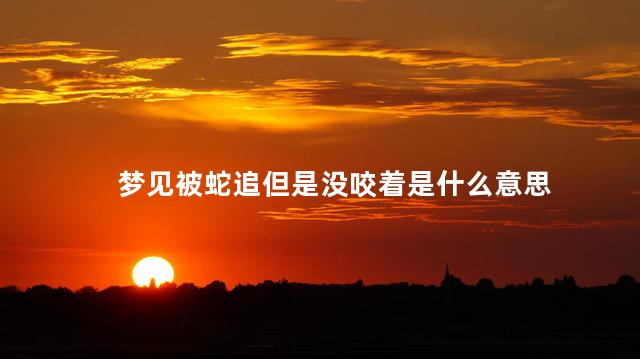 梦见被蛇追但是没咬着是什么意思