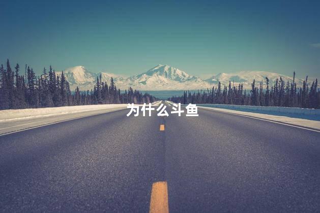 为什么斗鱼