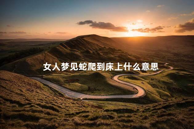 女人梦见蛇爬到床上什么意思