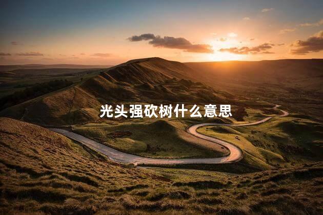 光头强砍树什么意思