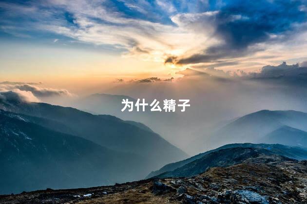 为什么精子