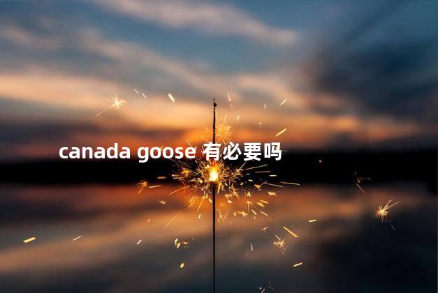 canada goose 有必要吗
