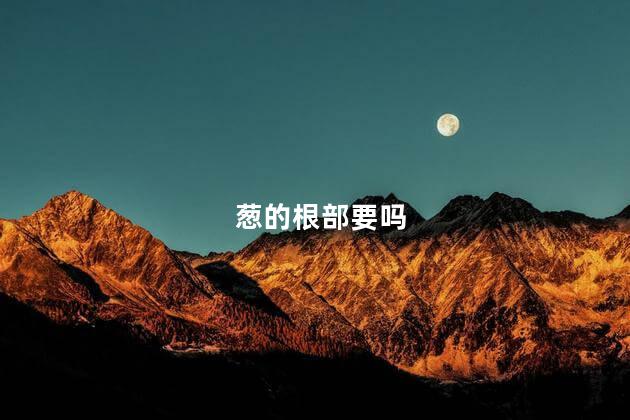 葱的根部要吗