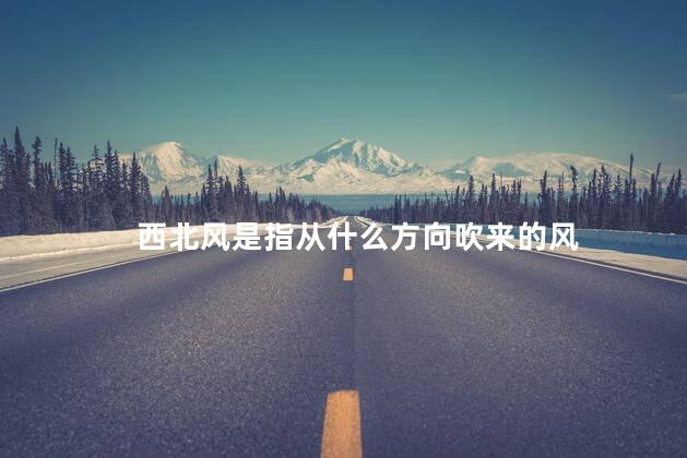 西北风是指从什么方向吹来的风