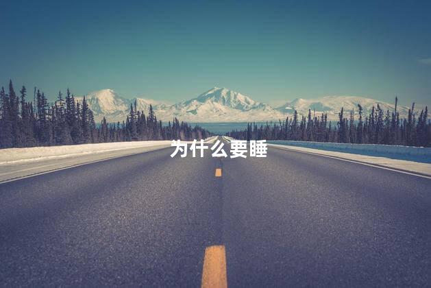 为什么要睡