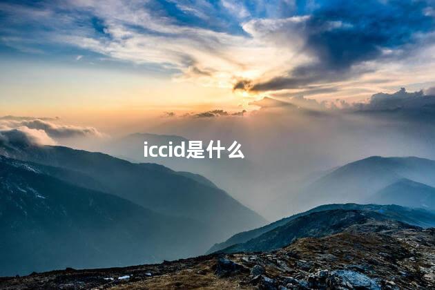 iccid是什么