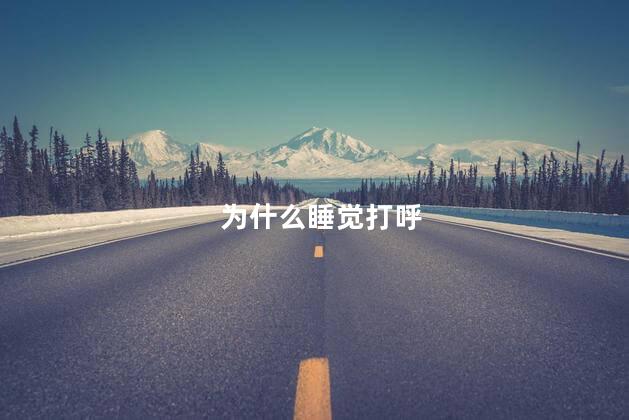 为什么睡觉打呼