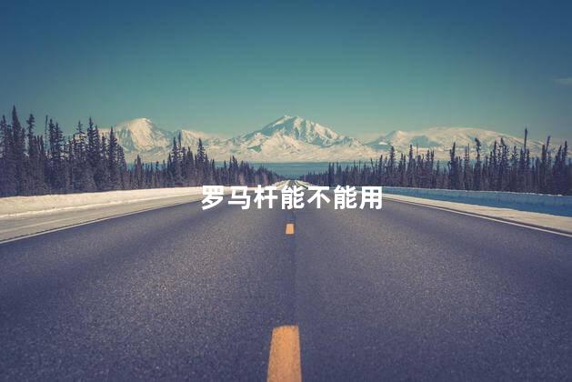 罗马杆能不能用