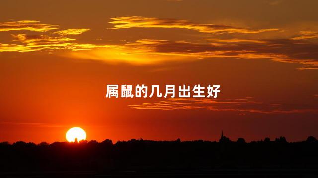 属鼠的几月出生好