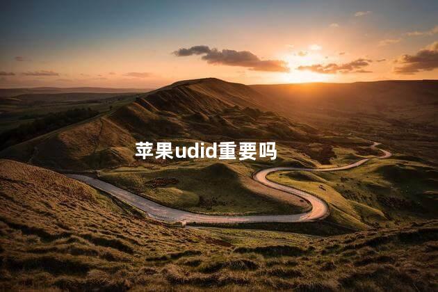 苹果udid重要吗