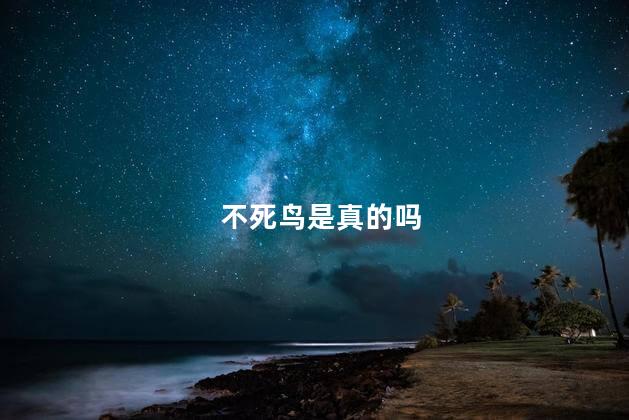 不死鸟是真的吗