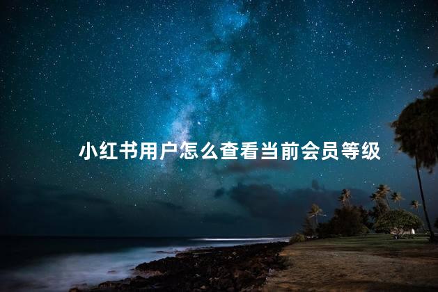 小红书用户怎么查看当前会员等级