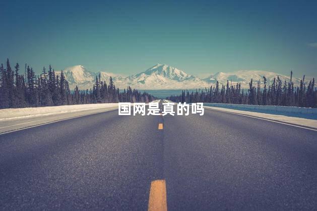 国网是真的吗
