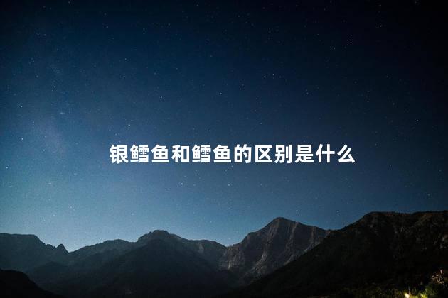 银鳕鱼和鳕鱼的区别是什么