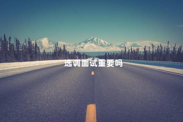选调面试重要吗