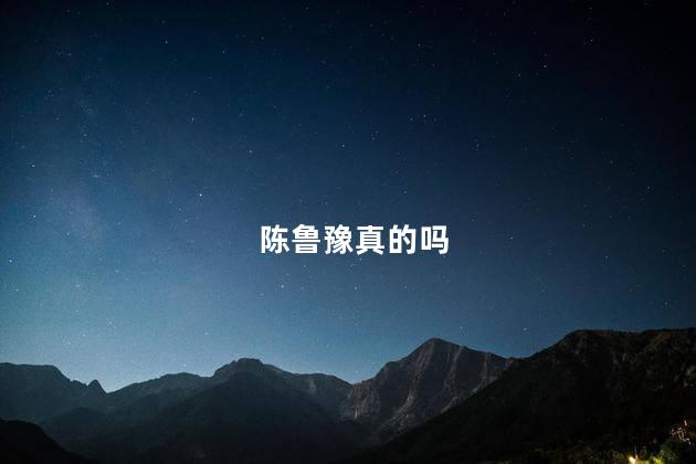 陈鲁豫真的吗