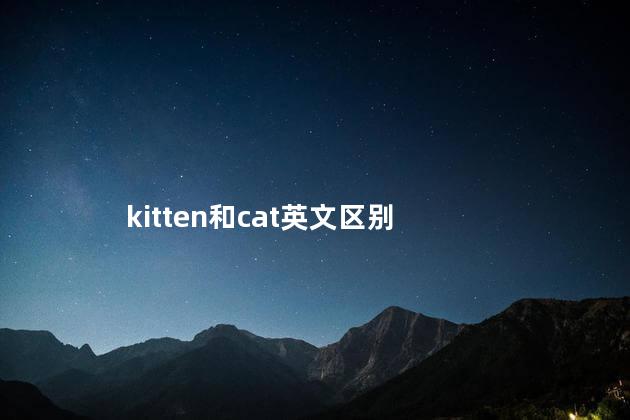 kitten和cat英文区别