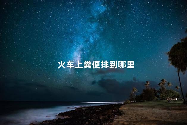 火车上粪便排到哪里