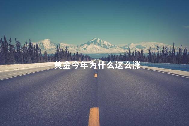 黄金今年为什么这么涨
