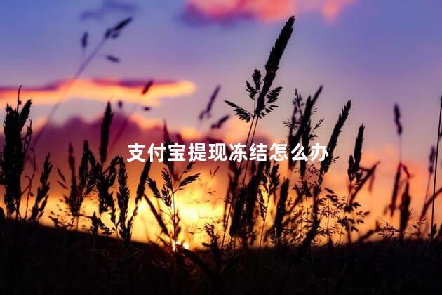 支付宝提现冻结怎么办