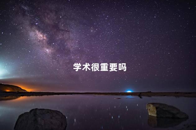 学术很重要吗