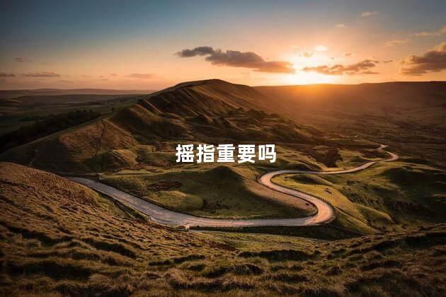 摇指重要吗