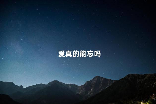 爱真的能忘吗