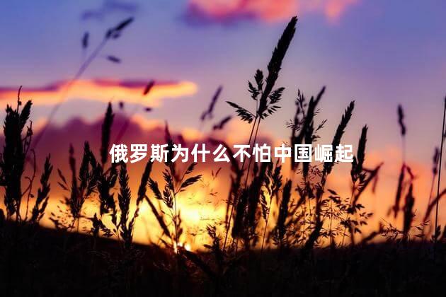 俄罗斯为什么不怕中国崛起