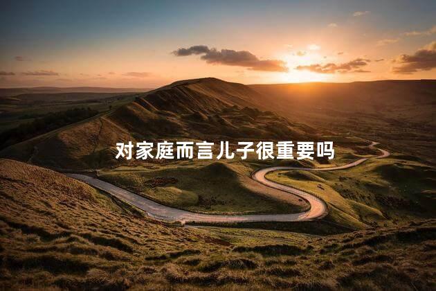 对家庭而言儿子很重要吗