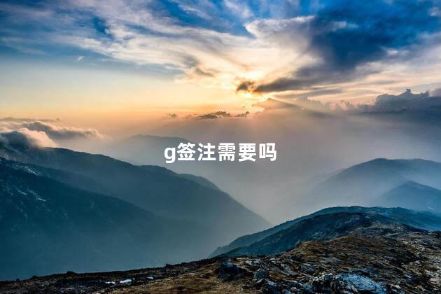 g签注需要吗
