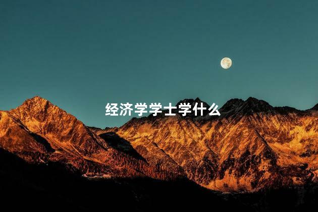 经济学学士学什么