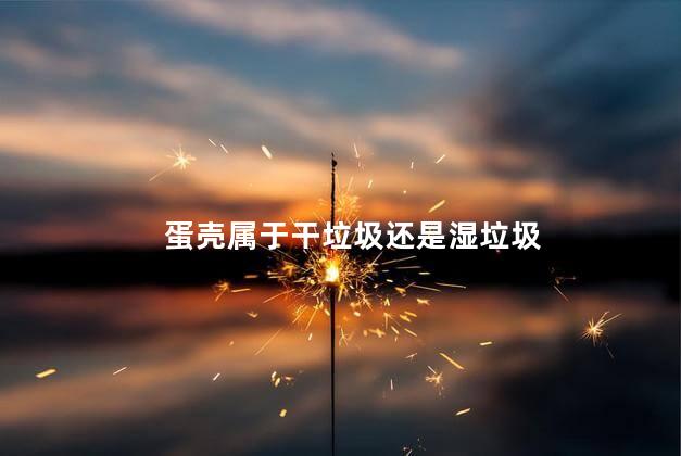 蛋壳属于干垃圾还是湿垃圾