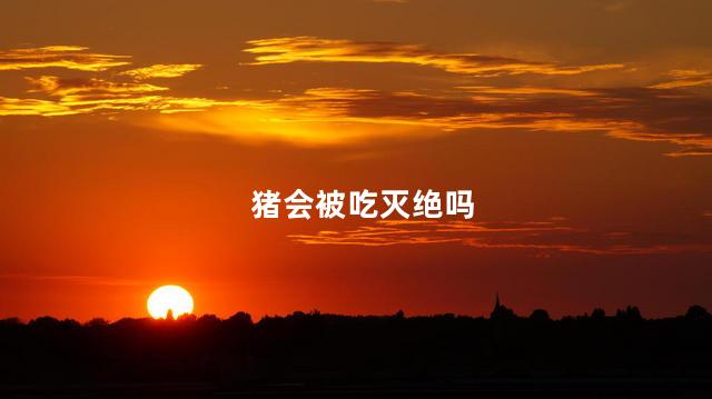 猪会被吃灭绝吗