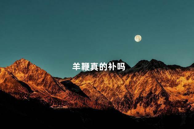 羊鞭真的补吗