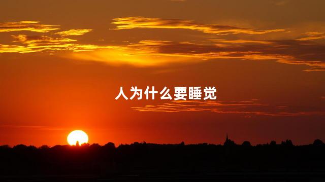 人为什么要睡觉