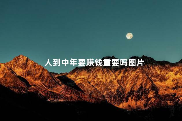 人到中年要赚钱重要吗图片