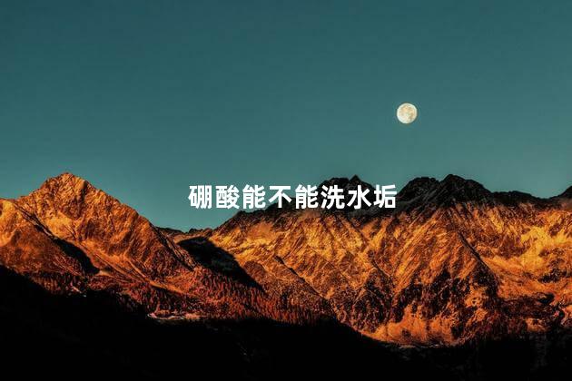 硼酸能不能洗水垢