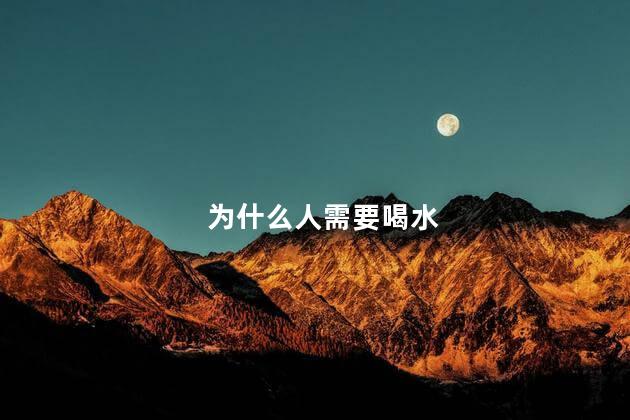 为什么人需要喝水