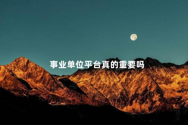 事业单位平台真的重要吗