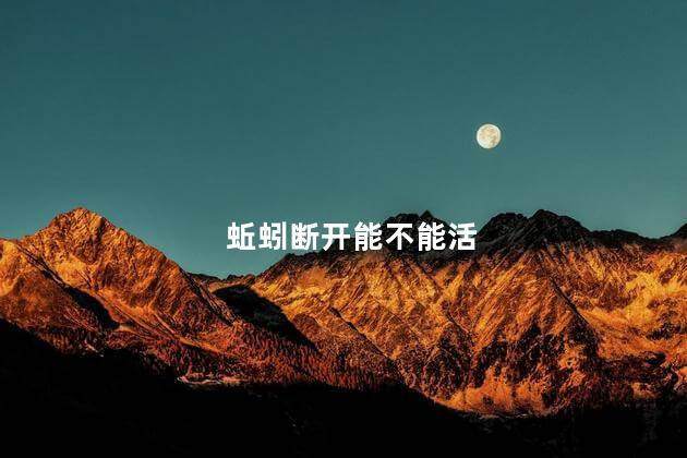 蚯蚓断开能不能活