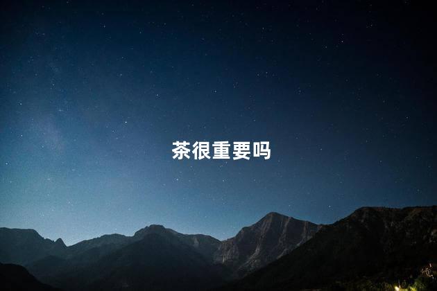 茶很重要吗