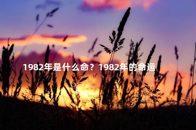 1982年是什么命？1982年的命运，你知道吗？