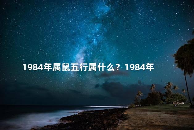 1984年属鼠五行属什么？1984年出生的属鼠人属金运势如何