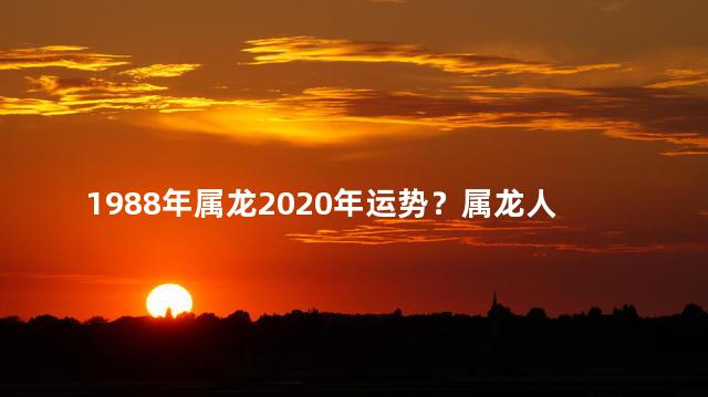 1988年属龙2020年运势？属龙人的2020年运势展望