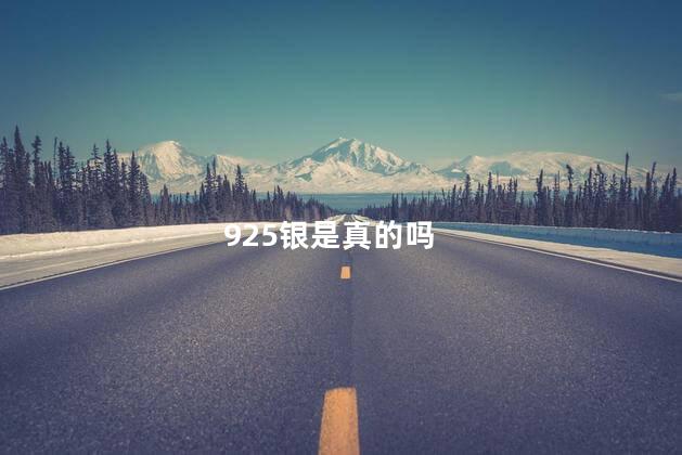 925银是真的吗