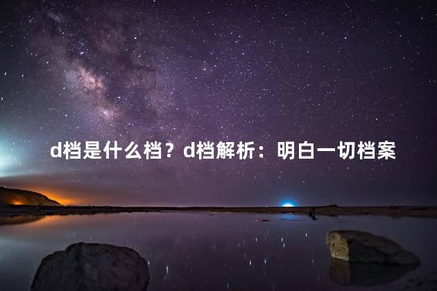 d档是什么档？d档解析：明白一切档案的关键要素